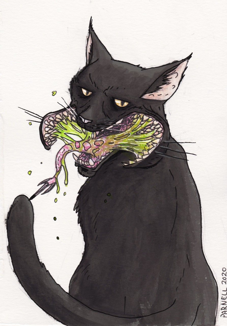 Biggs the cat, infected